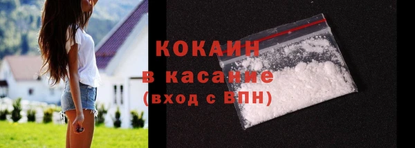 гидра Володарск