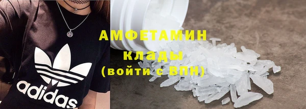 гидра Володарск