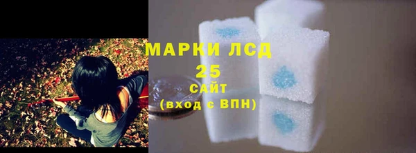 гидра Володарск