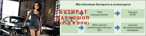 гидра Володарск