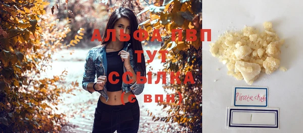 гидра Володарск