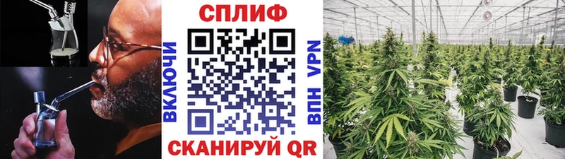 Конопля гибрид  Купить  Ипатово 